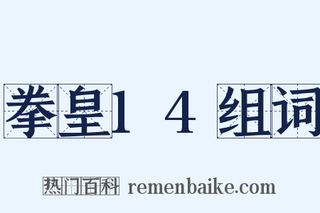 拳皇14组词是什么意思的图片